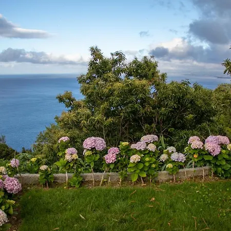 Oasis Fonte Grande *