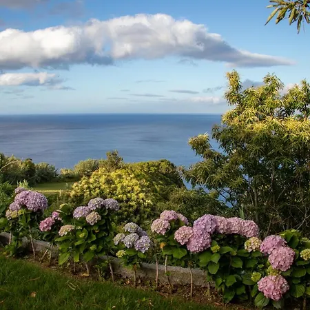 Oasis Fonte Grande * Santo Antonio (Sao Miguel)