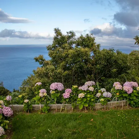 Apartament Oasis Fonte Grande Santo Antonio (Sao Miguel)