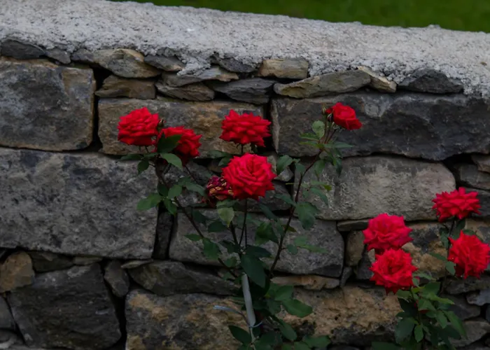 Oasis Fonte Grande Apartment